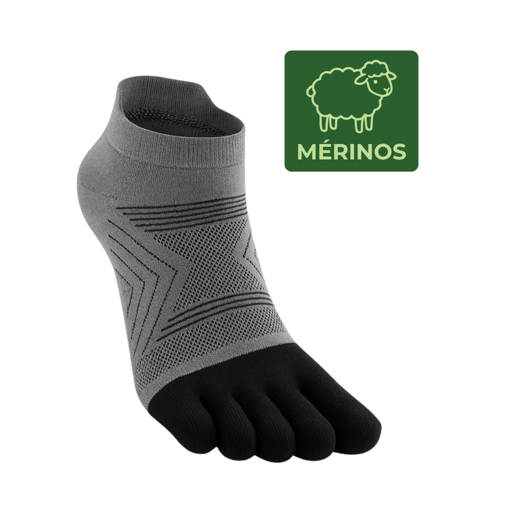 Mérinos — Hauteur courte