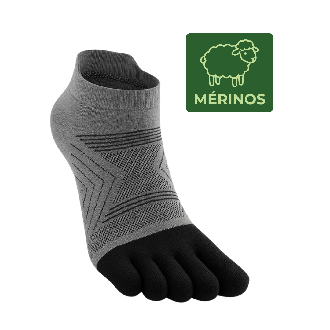 Mérinos — Hauteur courte